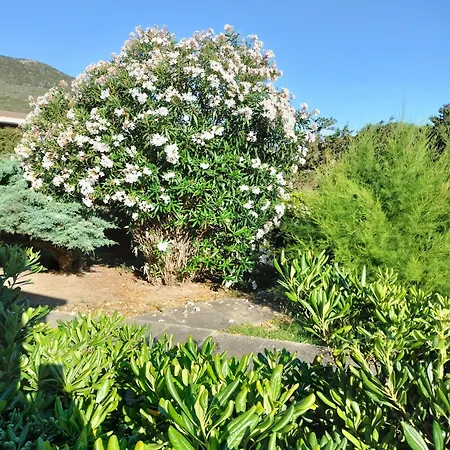 Apartament Pm 22 Via Cala Sabina Stintino